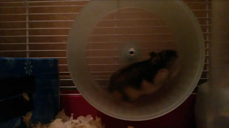 Play Picúr  and enjoy Picúr with UptoPlay