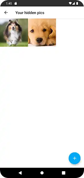 Play Pics Vault as an online game Pics Vault with UptoPlay