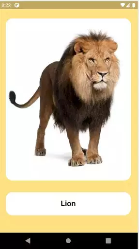 Play Picture Book