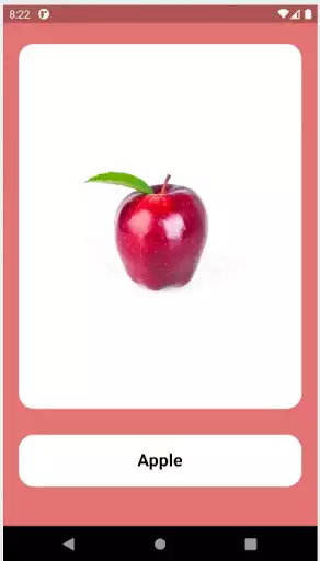 Play Picture Book