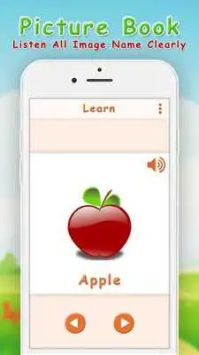 Play Picture Book