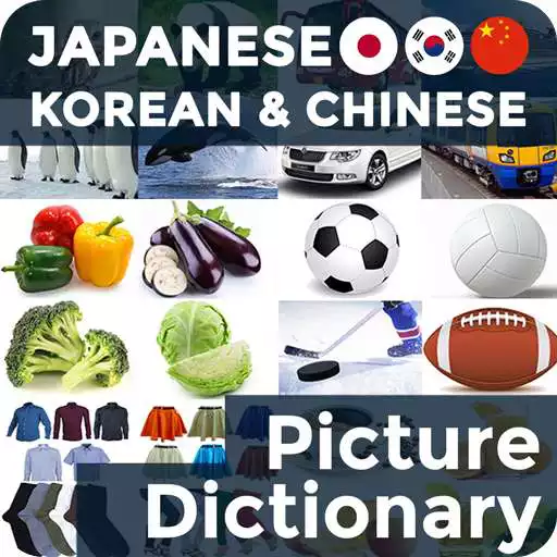 Free play online Picture Dictionary JA-KO-CN APK