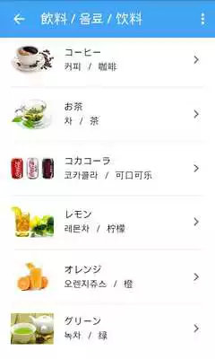 Play Picture Dictionary JA-KO-CN