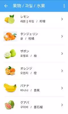 Play Picture Dictionary JA-KO-CN