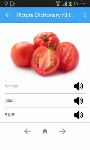 Play Picture Dictionary KH-EN-KO