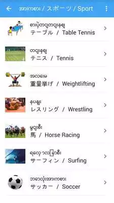 Play Picture Dictionary MY-JA-EN