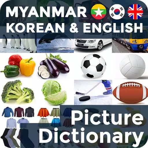 Free play online Picture Dictionary MY-KO-EN APK