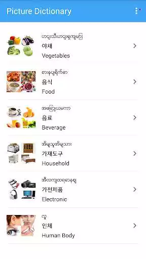 Play Picture Dictionary MY-KO-EN