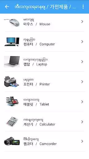 Play Picture Dictionary MY-KO-EN