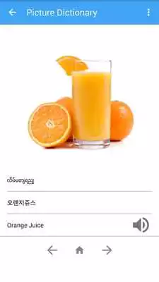 Play Picture Dictionary MY-KO-EN