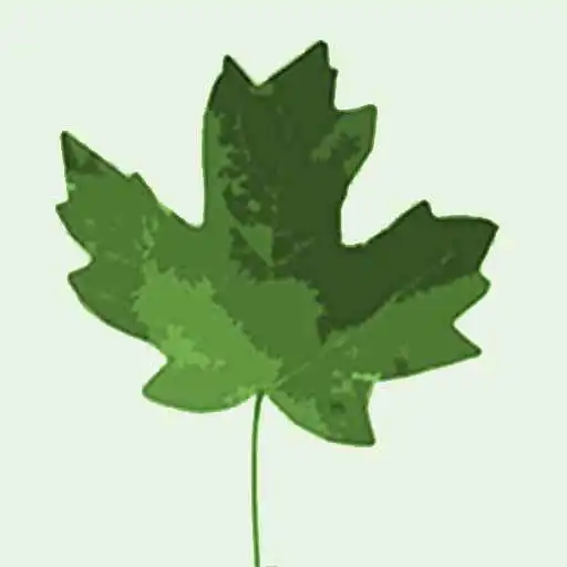 Play Picture idle game APK