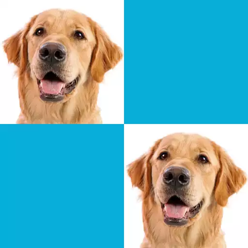 Play Picture Macth Game -Memory APK Play Picture Macth Game -Memory APK