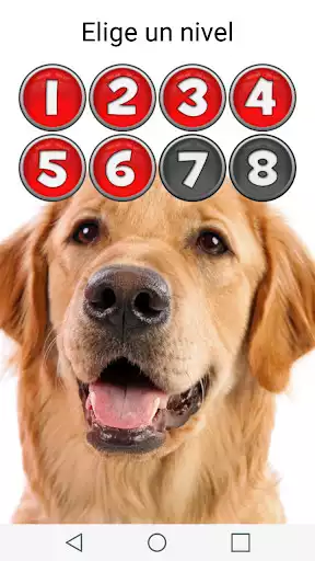 Play Picture Macth Game -Memory as an online game Picture Macth Game -Memory with UptoPlay