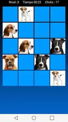 Play Picture Macth Game -Memory