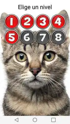 Play Picture Macth Game -Memory