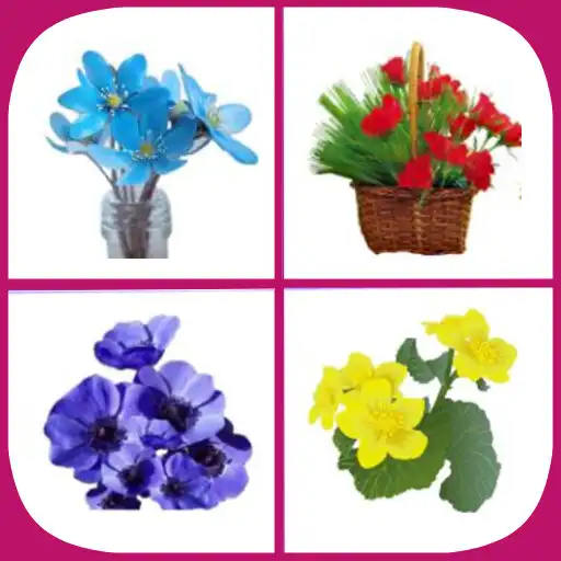 Play Picture Match: Flower Match APK Play Picture Match: Flower Match APK