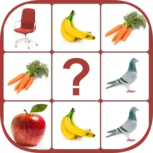 Play Picture match memory game APK