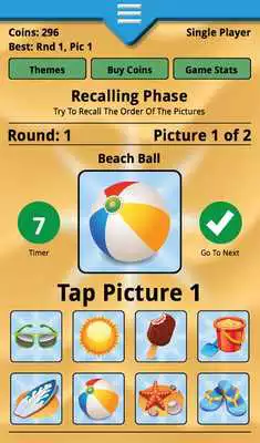Play Picture Perfect Memory