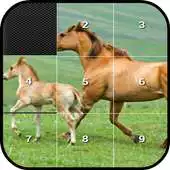 Free play online Picture Puzzle Block APK Free play online Picture Puzzle Block APK