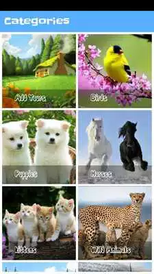 Play Picture Puzzle Block
