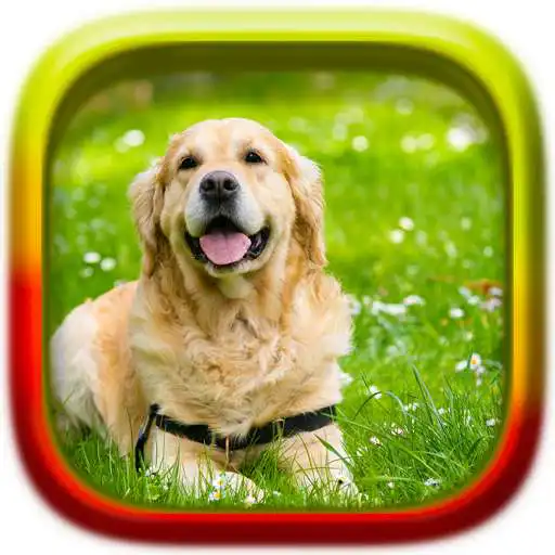 Free play online Picture Puzzle: Dogs APK Free play online Picture Puzzle: Dogs APK