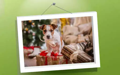 Play Picture Puzzle: Dogs