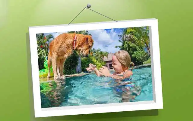 Play Picture Puzzle: Dogs
