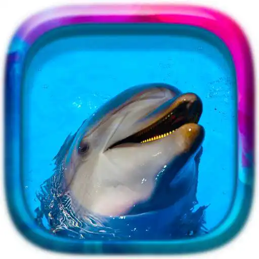 Play Picture Puzzle: Fishes APK Play Picture Puzzle: Fishes APK