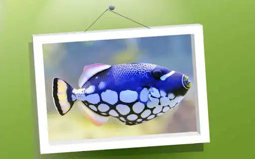 Play Picture Puzzle: Fishes as an online game Picture Puzzle: Fishes with UptoPlay
