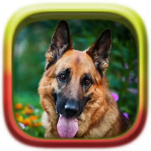 Play Picture Puzzle: German Shepherd Dogs APK Play Picture Puzzle: German Shepherd Dogs APK