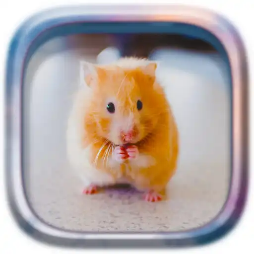 Play Picture Puzzle: Hamsters APK