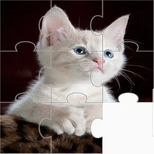 Free play online Picture Puzzle APK Free play online Picture Puzzle APK