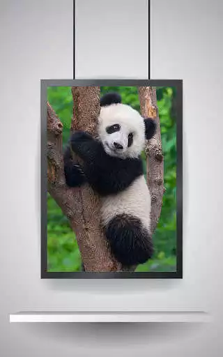 Play Picture Puzzle: Panda as an online game Picture Puzzle: Panda with UptoPlay