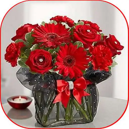 Play Pictures of different roses and flowers APK Play Pictures of different roses and flowers APK