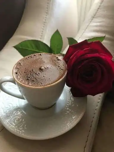 Play Pictures of different roses and flowers  and enjoy Pictures of different roses and flowers with UptoPlay