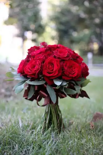 Play Pictures of different roses and flowers as an online game Pictures of different roses and flowers with UptoPlay