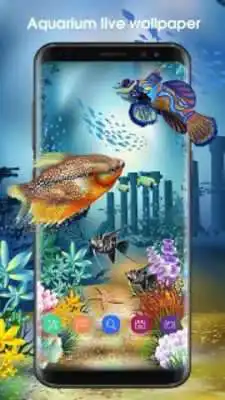 Play Picturesque Nature Live Wallpaper