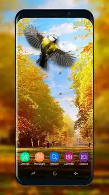 Play Picturesque Nature Live Wallpaper