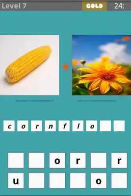 Play Picture the word! 2pics1word
