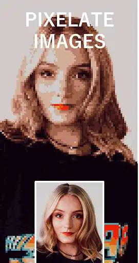 Play Picture to Pixel - PIXELAY -  and enjoy Picture to Pixel - PIXELAY - with UptoPlay