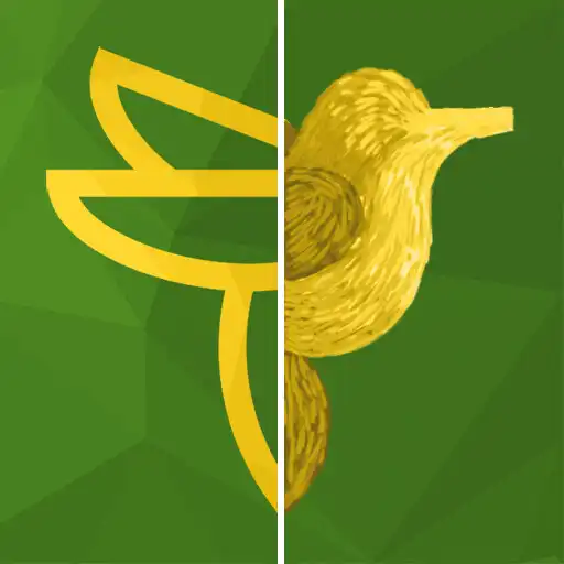 Play Picturize it - Making art APK