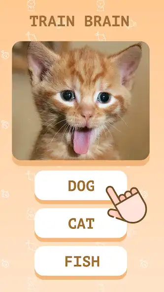 Play Pic Word Brain English Quiz  and enjoy Pic Word Brain English Quiz with UptoPlay