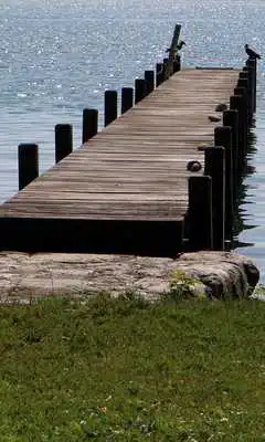 Play Pier Wallpaper