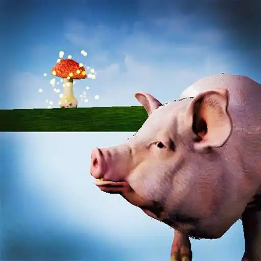 Play Pig and Mushroom APK Play Pig and Mushroom APK