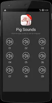 Play Pig (Animal) Sounds Play Pig (Animal) Sounds