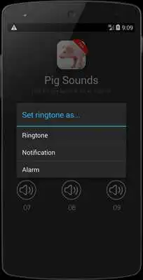 Play Pig (Animal) Sounds Play Pig (Animal) Sounds