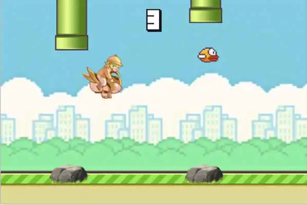 Play Pig Bird