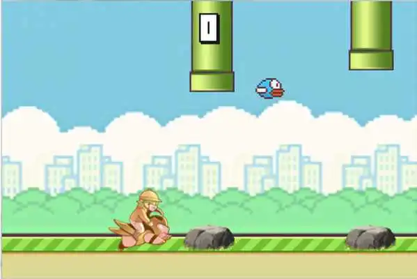 Play Pig Bird