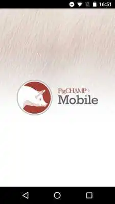 Play PigCHAMP Play PigCHAMP