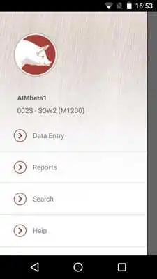 Play PigCHAMP Play PigCHAMP